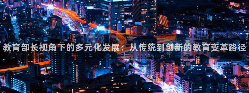 新航飞机椅背娱乐设备：教育部长视角下的多元化发展：从传统到创