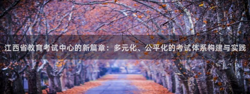 新航娱乐有限公司：江西省教育考试中心的新篇章：多元化、公平化