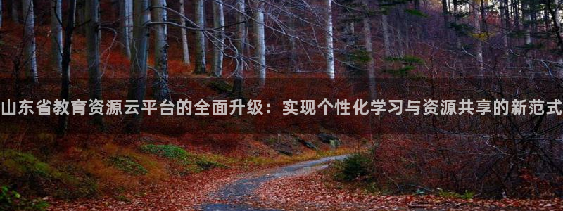 新航线娱乐会所：山东省教育资源云平台的全面升级：实现个性化学