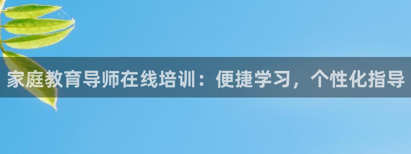 高州市新航线娱乐俱乐部：家庭教育导师在线培训：便捷学习，个性