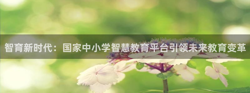 新航娱乐黑：智育新时代：国家中小学智慧教育平台引领未来教育变