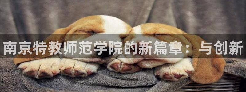 新航娱乐最新消息：南京特教师范学院的新篇章：与创新