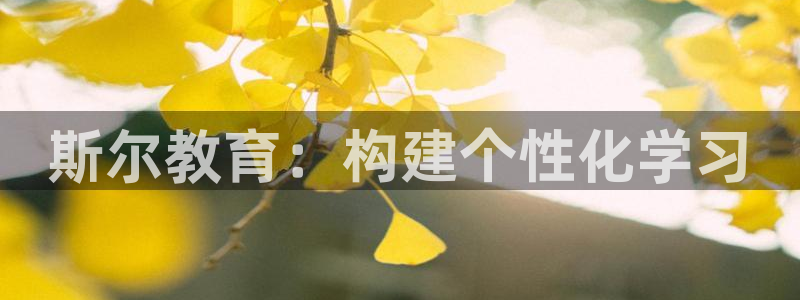 娱乐新航标：斯尔教育：构建个性化学习