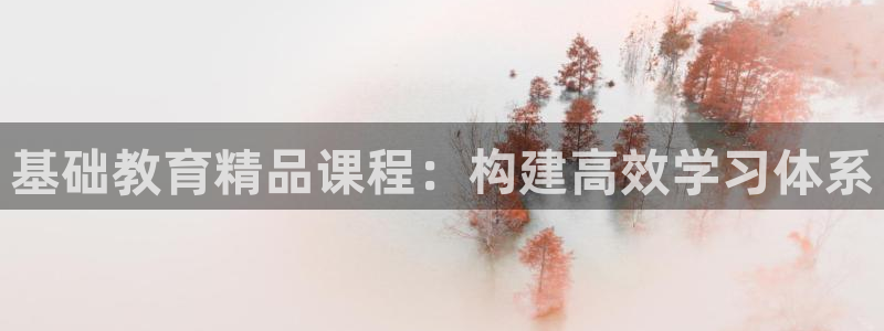 娱乐新航母：基础教育精品课程：构建高效学习体系