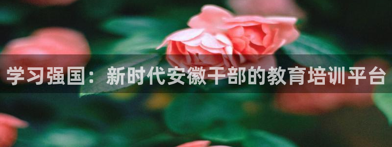 新航娱乐公司地址在哪里：学习强国：新时代安徽干部的教育培训平