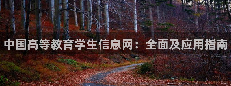 德阳娱乐城最新航拍：中国高等教育学生信息网：全面及应用指南
