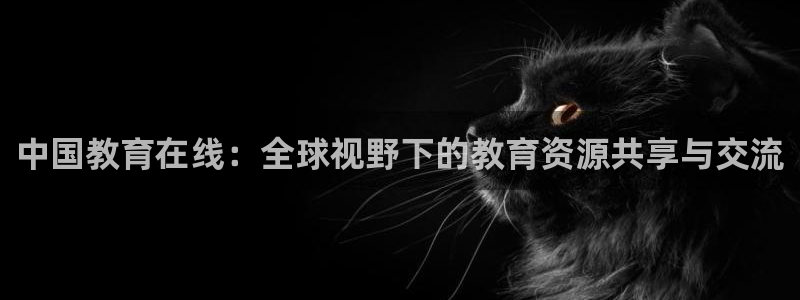 新航文化娱乐传媒招聘：中国教育在线：全球视野下的教育资源共享