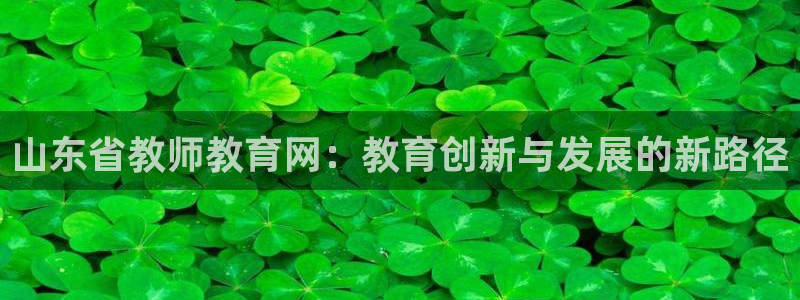 新航海娱乐会所电话是多少：山东省教师教育网：教育创新与发展的