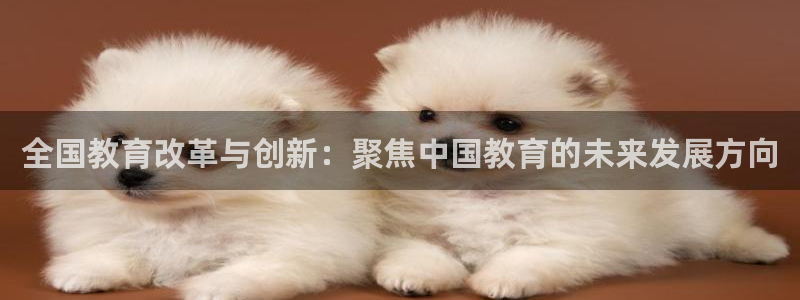 新航娱乐怎么注册账号：全国教育改革与创新：聚焦中国教育的未来