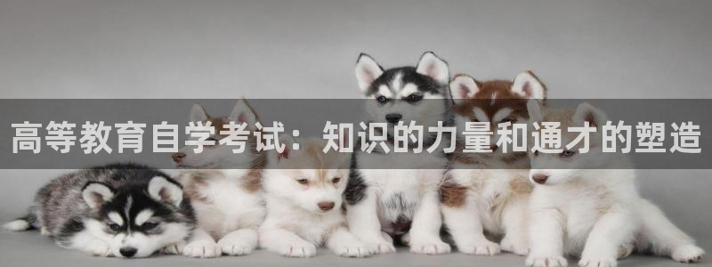 新航娱乐传媒：高等教育自学考试：知识的力量和通才的塑造