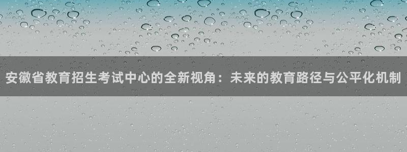 新航娱乐官网登录：安徽省教育招生考试中心的全新视角：未来的教