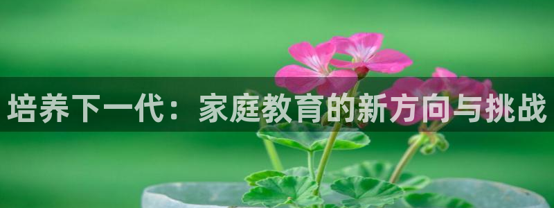 兰山新航线娱乐：培养下一代：家庭教育的新方向与挑战
