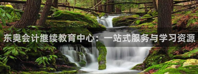 中国新航娱乐官网入口：东奥会计继续教育中心：一站式服务与学习