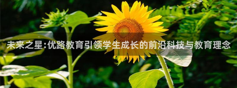新航娱乐被投诉的原因：未来之星:优路教育引领学生成长的前沿科