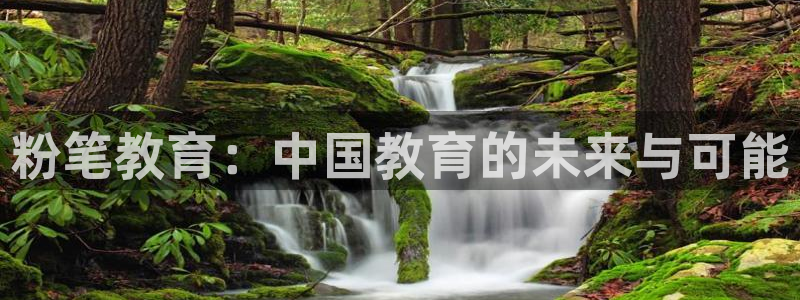 新航线娱乐会所：粉笔教育：中国教育的未来与可能