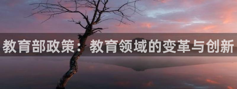 新航娱乐公司地址在哪里：教育部政策：教育领域的变革与创新