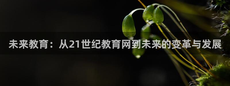 新航面试娱乐：未来教育：从21世纪教育网到未来的变革与发展