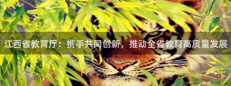 新航新客舱机上娱乐银：江西省教育厅：携手共同创新，推动全省教