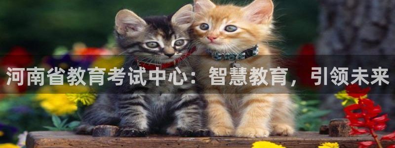 新航娱乐开户：河南省教育考试中心：智慧教育，引领未来