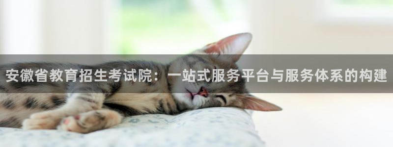 新航娱乐有方法开挂吗：安徽省教育招生考试院：一站式服务平台与