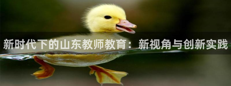 新航娱乐公司地址查询：新时代下的山东教师教育：新视角与创新实