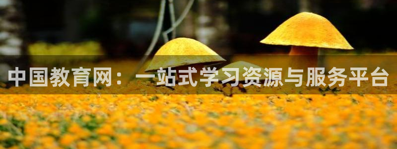 新航娱乐是正规平台吗：中国教育网：一站式学习资源与服务平台