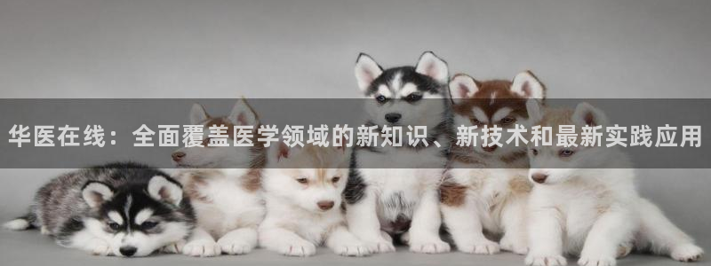 新航娱乐公司招聘：华医在线：全面覆盖医学领域的新知识、新技术