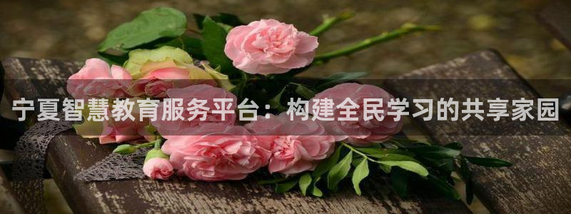 南京新航娱乐：宁夏智慧教育服务平台：构建全民学习的共享家园