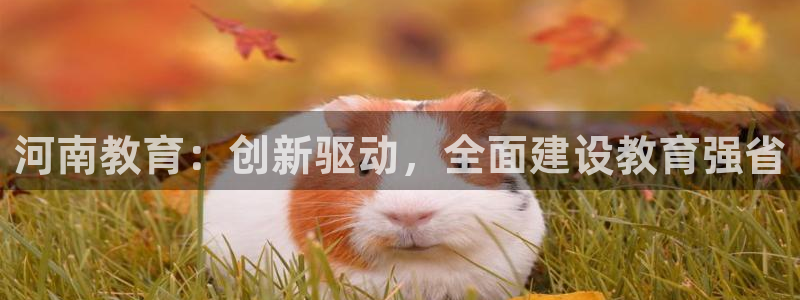 新航娱乐：河南教育：创新驱动，全面建设教育强省