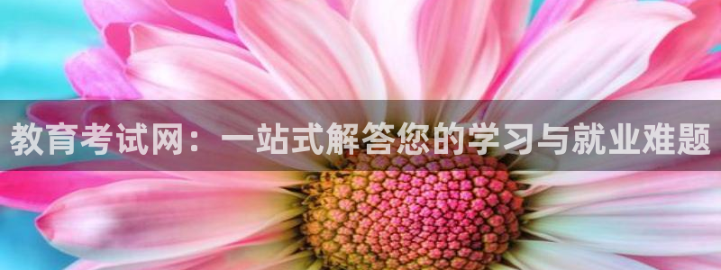 高州市新航线娱乐俱乐部：教育考试网：一站式解答您的学习与就业