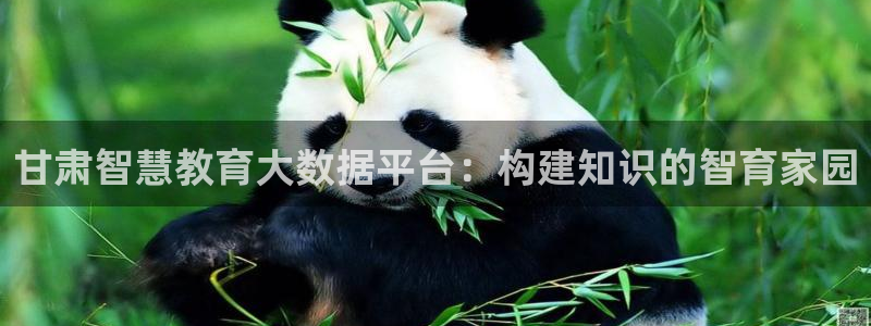 新航娱乐官网注册入口：甘肃智慧教育大数据平台：构建知识的智育