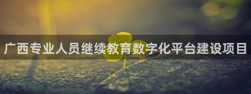 萧山娱乐新航母阿里巴巴：广西专业人员继续教育数字化平台建设项