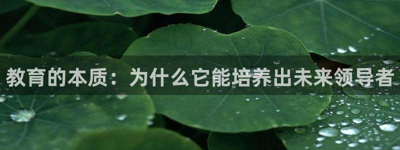 新航娱乐传媒招聘信息网：教育的本质：为什么它能培养出未来领导