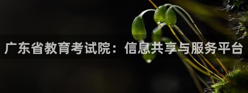 新航娱乐扣款：广东省教育考试院：信息共享与服务平台