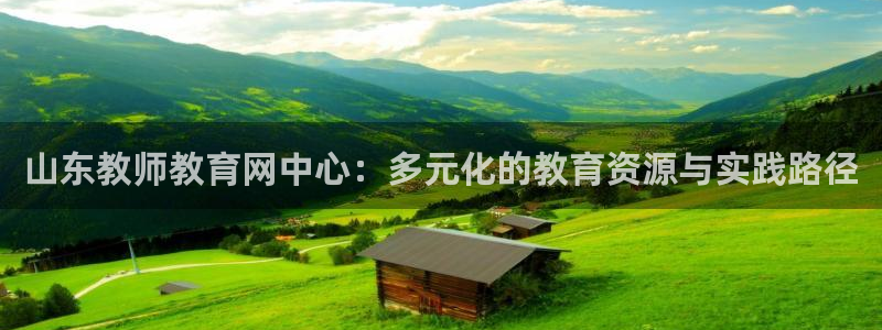 新航娱乐安卓版下载：山东教师教育网中心：多元化的教育资源与实