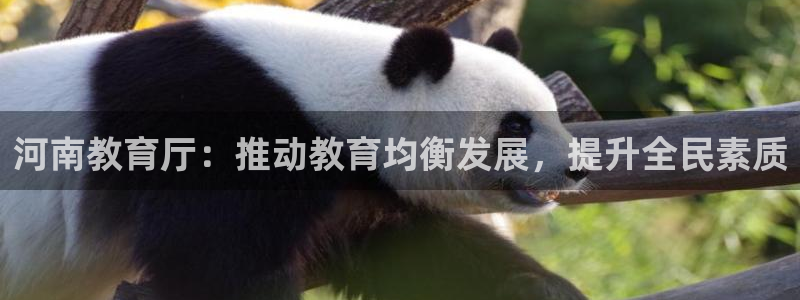 新航娱乐公司简介资料：河南教育厅：推动教育均衡发展，提升全民