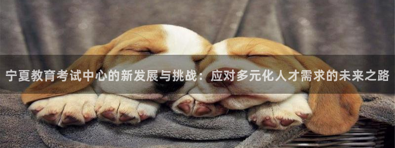新航娱乐被投诉的原因