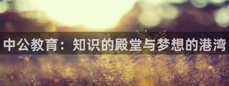 新航海娱乐会所地址电话：中公教育：知识的殿堂与梦想的港湾