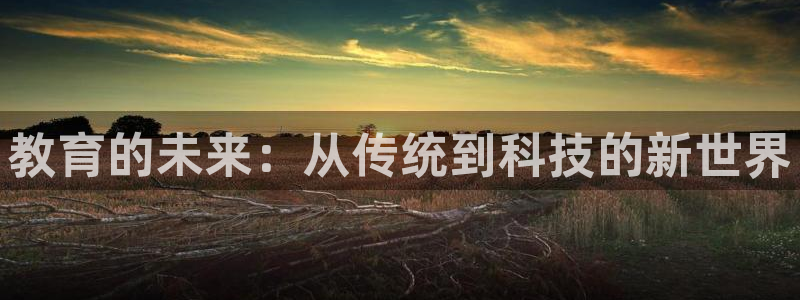 新航娱乐官方首页：教育的未来：从传统到科技的新世界