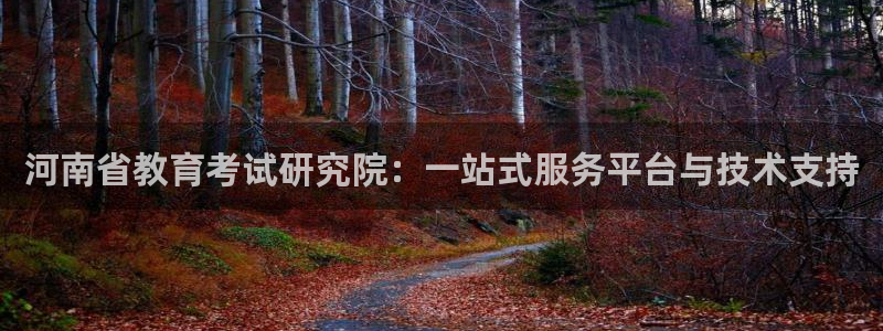打造娱乐新航母