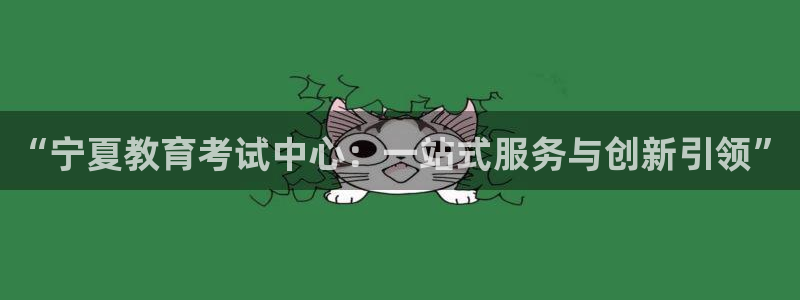 新航娱乐入网要求