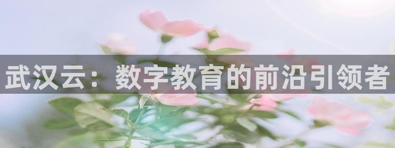 新航娱乐安卓版下载