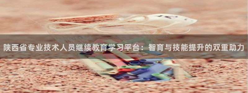 打造娱乐新航母：陕西省专业技术人员继续教育学习平台：智育与技