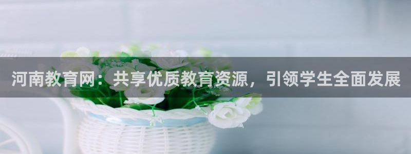新航娱乐公司招聘信息网