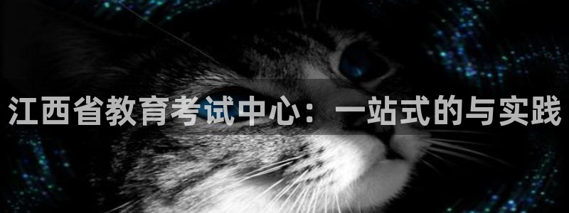 新航娱乐app下载安装