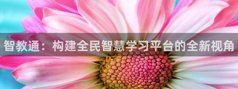 岛城娱乐新航向：智教通：构建全民智慧学习平台的全新视角