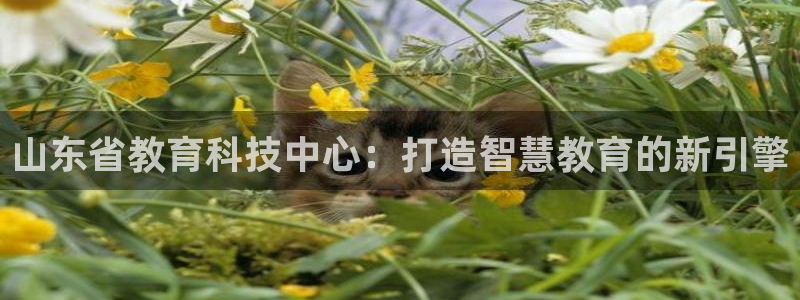 娱乐新航线：山东省教育科技中心：打造智慧教育的新引擎