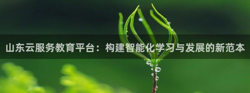 新航虚拟娱乐：山东云服务教育平台：构建智能化学习与发展的新范