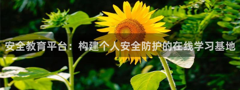 新航海娱乐会所