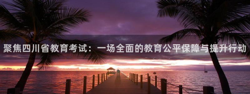 新航娱乐公司地址查询：聚焦四川省教育考试：一场全面的教育公平